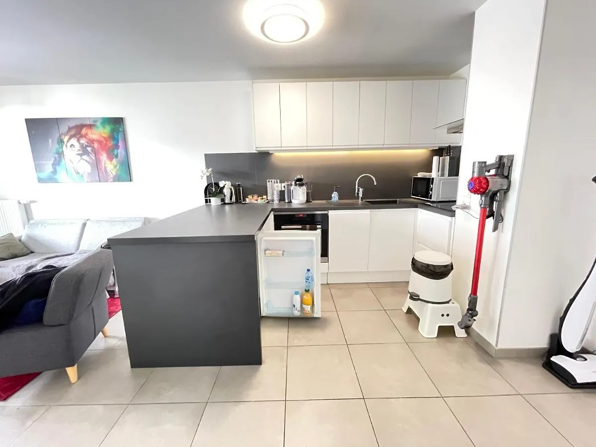 Les Berges Apartment Annecy France